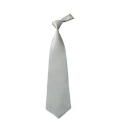 100% Silk Ties