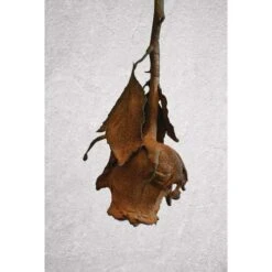 ARTIDEE | CREARTEC Immersion Rust - Set -Pebeo Sales Store ARTIDEE7CCREARTECImmersionRust set 5