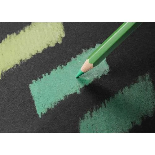 Caran D'Ache Pablo Wooden Box Set 5 Caran D'Ache Pablo Wooden Box Set - Image 5