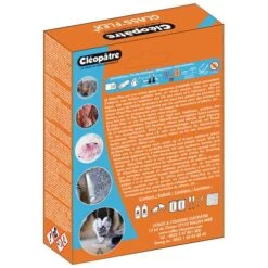 Cléopâtre Resin 100 -Pebeo Sales Store ClC3A9opC3A2treResin100 2