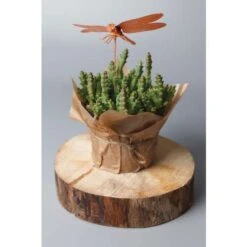 Creartec Dipping Metal -Pebeo Sales Store CreartecDippingMetal 2