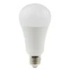Daylight Energy Saving Bulbs