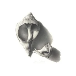 Derwent Graphic Pencil Sets -Pebeo Sales Store DerwentGraphicPencilSets 3