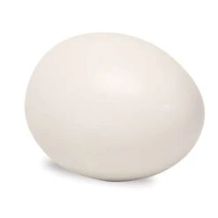 Egg Casting Moulds 8 Egg Casting Moulds -Pebeo Sales Store EggCastingMoulds 3