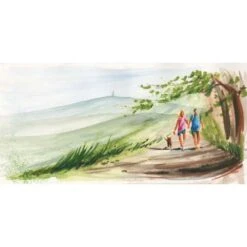 Faber-Castell Albrecht Dürer Watercolour Marker Gift Box -Pebeo Sales Store Faber CastellAlbrechtDC3BCrerWatercolourMarkerGiftBox 2