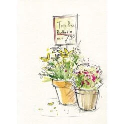 Faber Castell Watercolour Sets -Pebeo Sales Store FaberCastellWatercolourSets 3