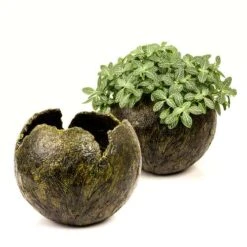 GERSTAECKER | Modelling Paste — Coarse -Pebeo Sales Store GERSTAECKER7CModellingPasteE28094coarse 2