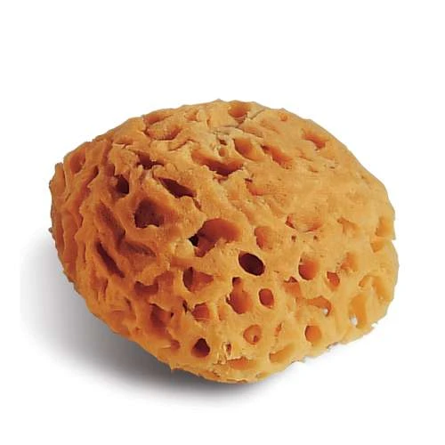 Natural Sponge — 14 Cm 1 Natural Sponge — 14 Cm