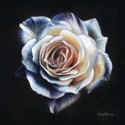 PanPastel Kirsty Rebecca Set -Pebeo Sales Store PanPastelKirstyRebeccaSet 3