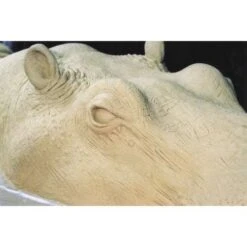 Plastiline Naples Pink Modelling Clay -Pebeo Sales Store PlastilineNaplesPinkModellingClay 2