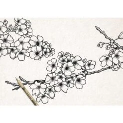 Sakura Pigma Micron 9 Colour Set -Pebeo Sales Store SakuraPigmaMicron9ColourSet 4