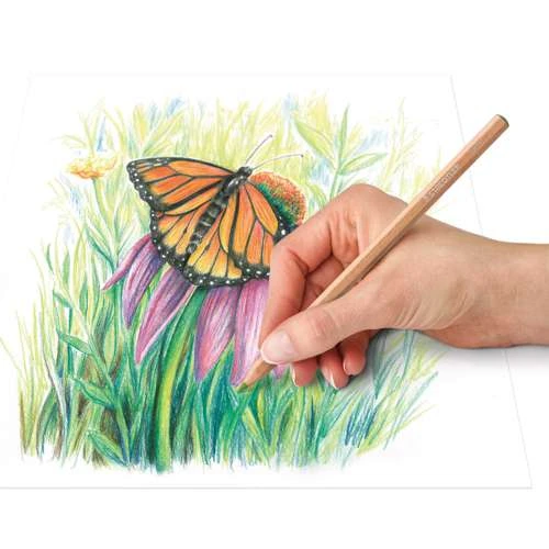 Staedtler Design Journey Pastel Pencil Set 146P 2 Staedtler Design Journey Pastel Pencil Set 146P - Image 2