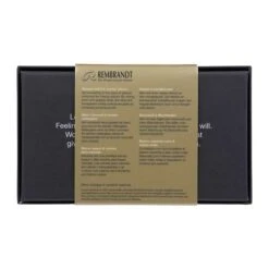 TALENS | REMBRANDT Themed Set — Opaque White & Mixing Colours -Pebeo Sales Store TALENS7CREMBRANDTThemedSetE28094OpaqueWhite26amp3BMixingColours 4